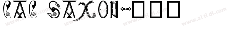 CAC Saxon字体转换